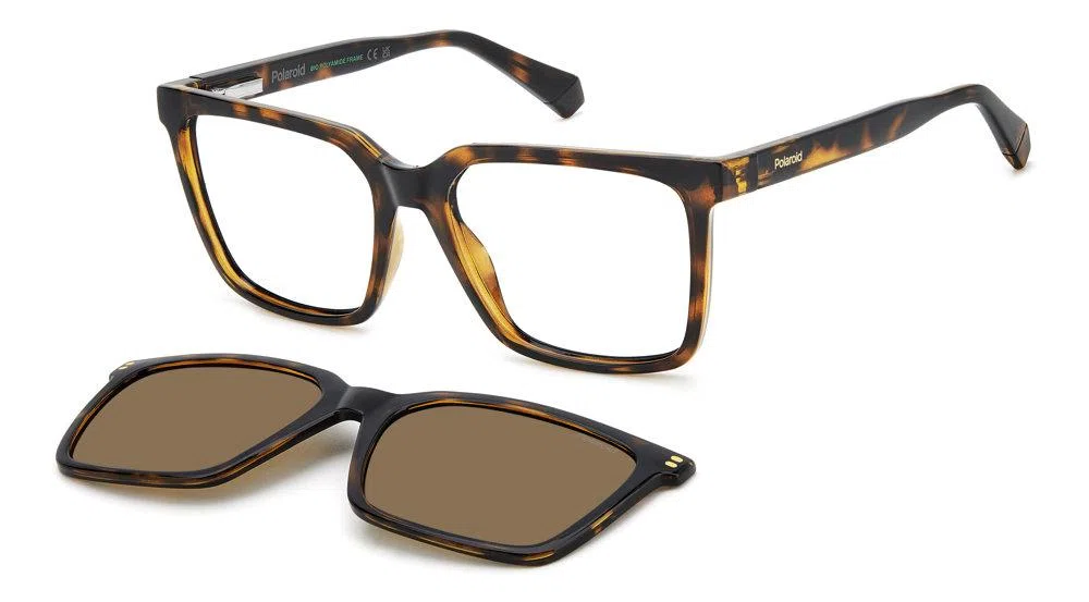 Polaroid Core PLDD556 Eyeglasses - view 7